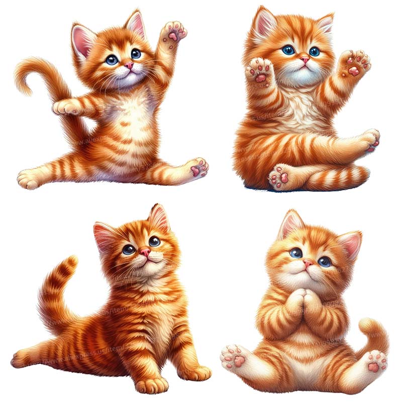 Yoga Kat Muursticker Verwijder - Kitchen Appliances Design recensie en prijs